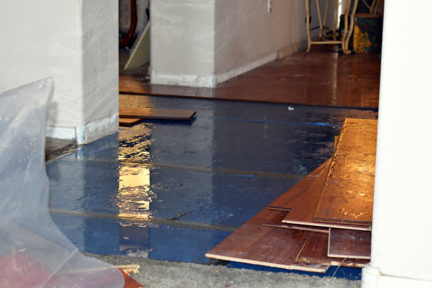 Professional Burst Pipe Cleanup technician working in Birch Harbor, ME